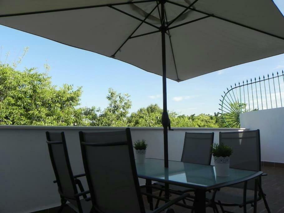 Atico Con Terraza En Alameda De Hercules Seville Luaran gambar